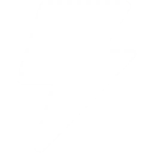 Flash